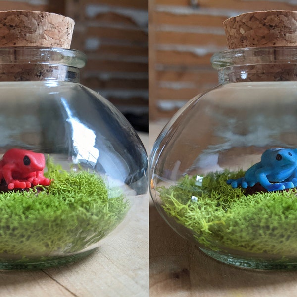 Red and Blue Poison Dart Frog Terrarium by SBMathieu