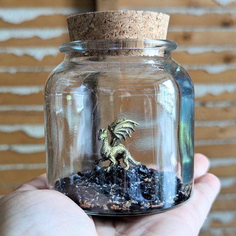 Miniature Dragon Terrariums by SBMathieu