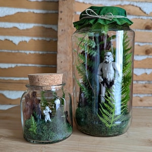 May include: Two glass terrariums featuring Star Wars Stormtrooper figurines. One is a small jar with a cork stopper, the other a larger jar with a green fabric lid. Both contain miniature plants and moss.