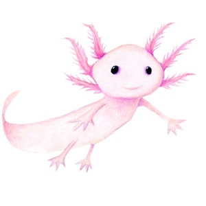 Axolotl 8 x 10 inch Print by SBMathieu