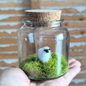 SBMathieuによるミニチュア羊テラリウム