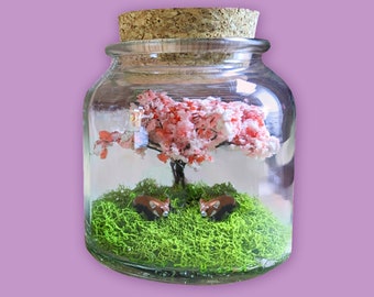 Miniature Red Pandas Terrarium by SBMathieu