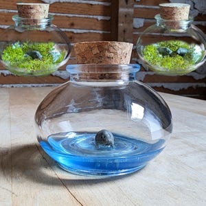 Miniature Manatee Terrarium By SBMathieu