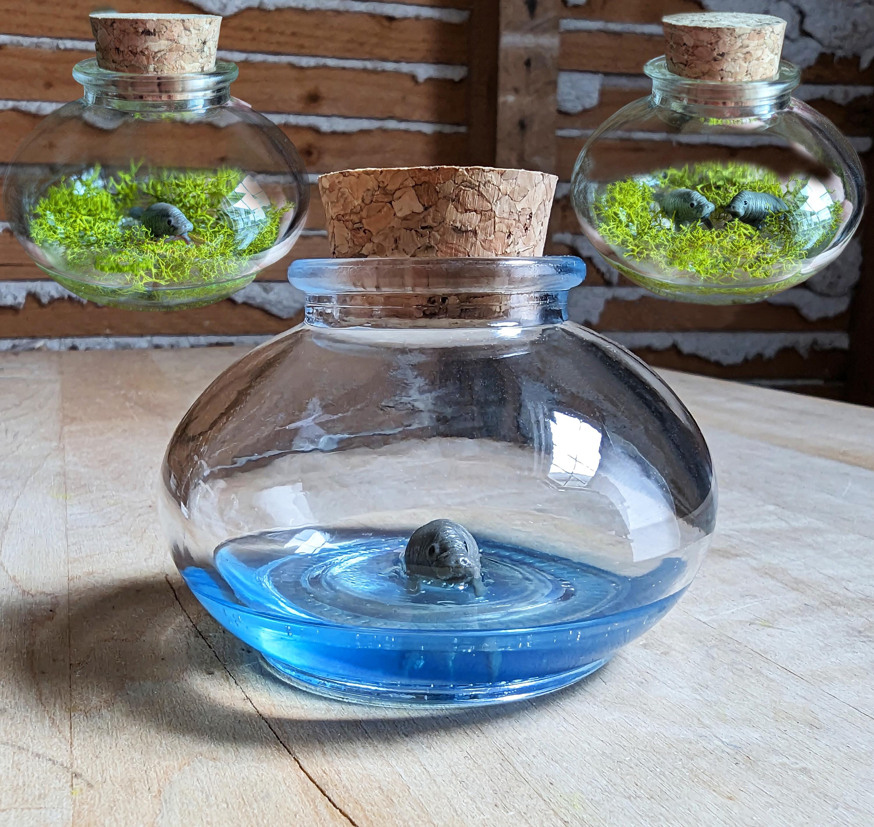 Miniature Manatee Terrarium By SBMathieu