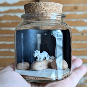 May include: A glass jar with a cork stopper, housing a miniature diorama. It features a small white dog sculpture on a rock formation, set against a dark background. The jar is held in a hand.
