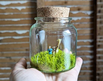 Miniature Sir David Attenborough Tribute Giraffe and Elephant Terrariums by SBMathieu