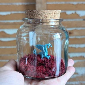 Terrarios de dragones en miniatura de SBMathieu imagen 2