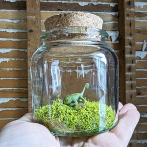 Miniature Chameleon Terrarium by SBMathieu