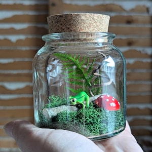 May include: A glass jar with a cork stopper, housing a miniature terrarium. A green frog figurine rests on a log, beside a red mushroom with white spots. The terrarium includes green moss and a fern. The jar is held in a hand.