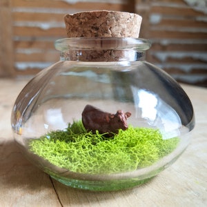 Miniature Brown Cow Terrarium by SBMathieu