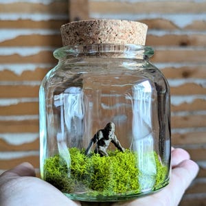 Miniature Bigfoot Terrarium by SBMathieu