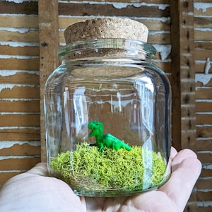 Terrario de T.rex en miniatura de SBMathieu
