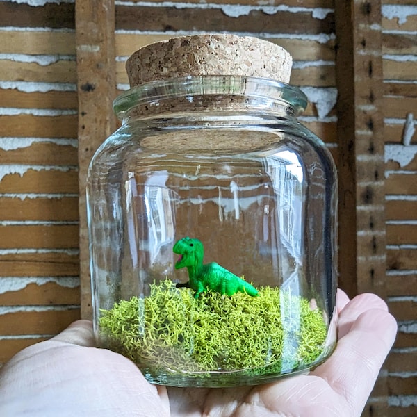 Miniature T.rex Terrarium by SBMathieu