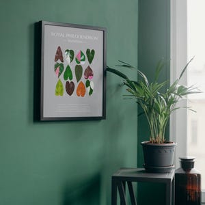 Royal Philodendron | Plant Identification Digital Prints | Easy download | Great Decor for any space.