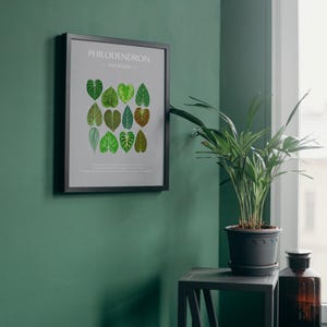 Philodendron 3 | Plant Identification Digital Prints | Easy download | Great Decor for any space.