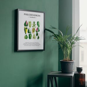 Philodendron 4 | Plant Identification Digital Prints | Easy download | Great Decor for any space.