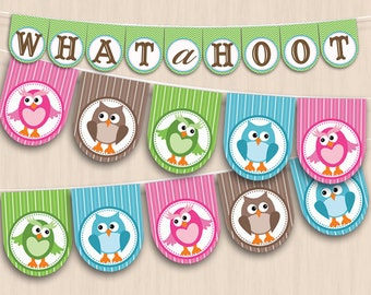 OWL Party Banner in Pink and Teal- Instant Printable Download