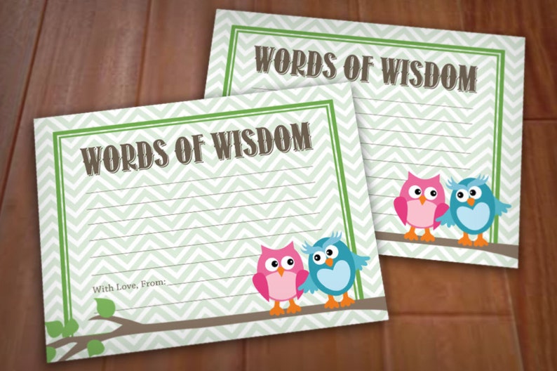 WORDS of WISDOM Owl Advice Cards for Baby Shower in Pink & Teal Instant Printable Download image 1