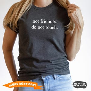 Not Friendly Do Not Touch Shirt, Sarcasm Shirt, Funny Humor Shirt, Adult Humor Tee, Funny Trendy Shirt for Women