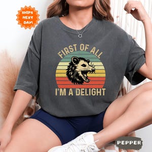 Retro First Of All I&#39;m A Delight Sarcastic Angry Opossum Lover Shirt, Comfort Colors Funny Animal Lover Shirt,Unique Gift for Opossum Lovers