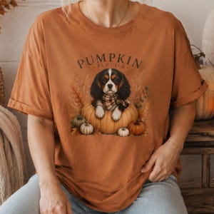 May include: A burnt orange short-sleeve t-shirt featuring a graphic of a Cavalier King Charles Spaniel wearing a plaid scarf, sitting inside a large pumpkin. The text PUMPKIN PUP CLUB is printed above the dog, surrounded by autumn foliage.