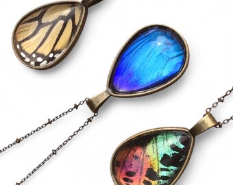 Natursmycken Halsband med äkta fjärilar Halsband med äkta fjärilar Taxidermfjäril Blå morpho Solnedgångsfjärilsbugg