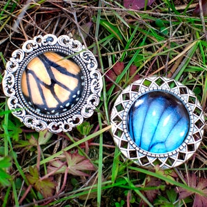 Real Butterfly brooch pin Butterfly wing jewelry Real butterfly jewelry Butterfly wing brooch Insect pin Real insect jewelry Butterfly pin