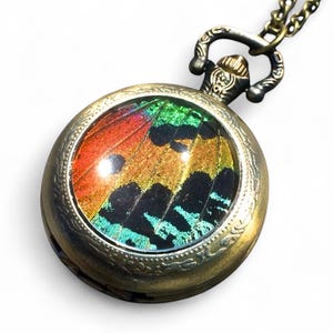 Real Sunset Moth Mechanical Pocket watch Necklace working Steampunk Pocketwatch moth patch preserved butterfly pressed butterfly rainbow