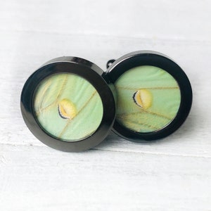 Real Luna moth cufflinks for men Weird cufflinks for wedding Personalized cufflinks for groomsmen gift ideas Wedding cuff links for brother