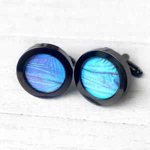 Real Insect cufflinks for men Blue Morpho butterfly wing cufflinks for groom Bespoke cufflinks for wedding Novelty cufflinks for groomsmen