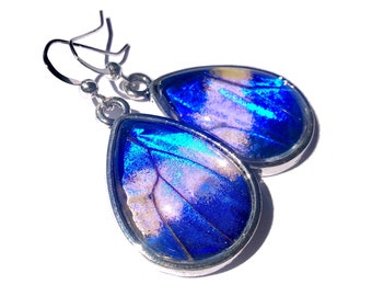 Real butterfly wing earrings Real butterfly earrings for women Blue morpho butterfly earrings Real butterfly wing jewelry Bug earrings