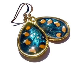 Real butterfly earrings for women Real butterfly wing earrings Blue butterfly earrings dangle Real butterfly jewelry Real insect earrings