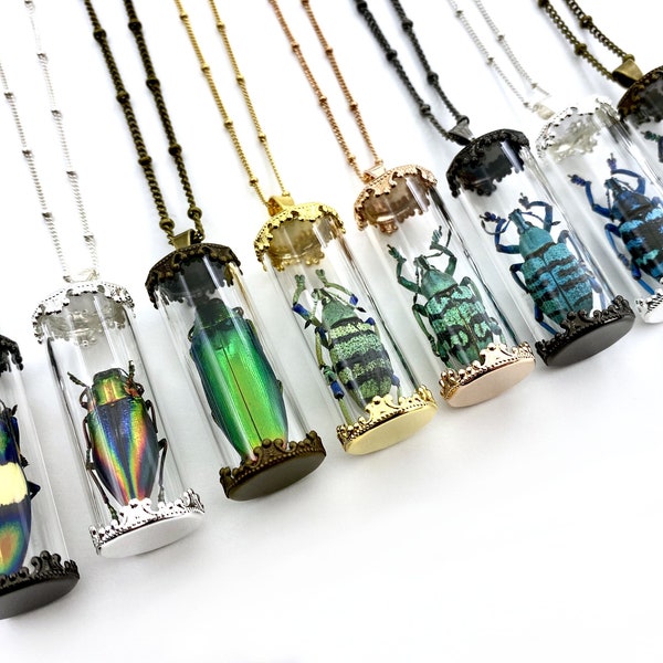 Real bug necklace Witchy jewelry Insect necklace Science jewelry Glass vial necklace Specimen necklace Ethically sourced beetle necklace