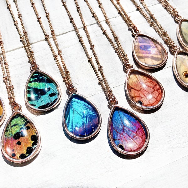 Real butterfly wing necklace Pressed butterfly necklace Best friend necklace Pressed flower necklace Butterfly wing jewelry Pressed jewelry