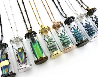 Real bug necklace Witchy jewelry Insect necklace Science jewelry Glass vial necklace Specimen necklace Ethically sourced beetle necklace