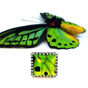 Real butterfly wing ring Sterling silver butterfly ring Witchy ring Pressed flower ring Real insect ring bug ring Botanical ring