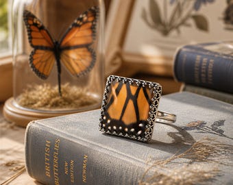 Real Monarch butterfly ring Sterling silver Real butterfly wing ring Pressed flower ring Monarch butterfly wing jewelry Adjustable ring