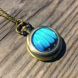 Op de afbeelding: Een gouden zakhorlogeketting met een blauw vlinder vleugelontwerp in het glas.
