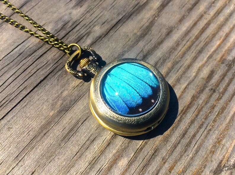 Op de afbeelding: Een gouden zakhorlogeketting met een blauw vlinder vleugelontwerp in het glas.