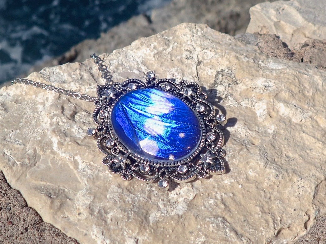 希少☆本物の蝶の羽 モルフォ蝶 幸運の青い蝶 シルバー925ペンダント