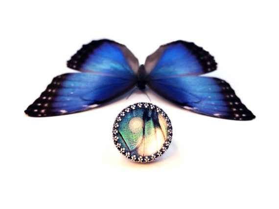 Real butterfly ring discount