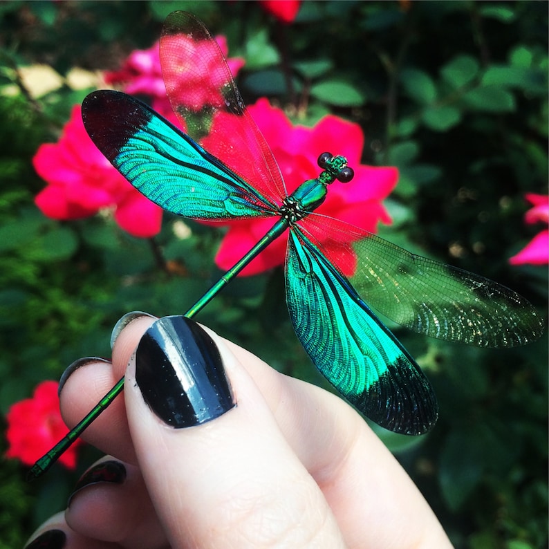 May include: A vibrant green and blue dragonfly with black markings is perched on a finger. The dragonfly has delicate wings and a long, slender body. The background features pink flowers.