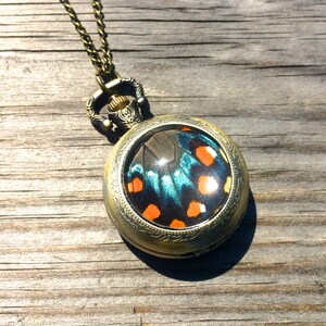 Op de afbeelding: Een gouden zakhorlogeketting met een vlinder vleugel ontwerp in het horloge gezicht. De vlinder vleugel is blauw, zwart en oranje.