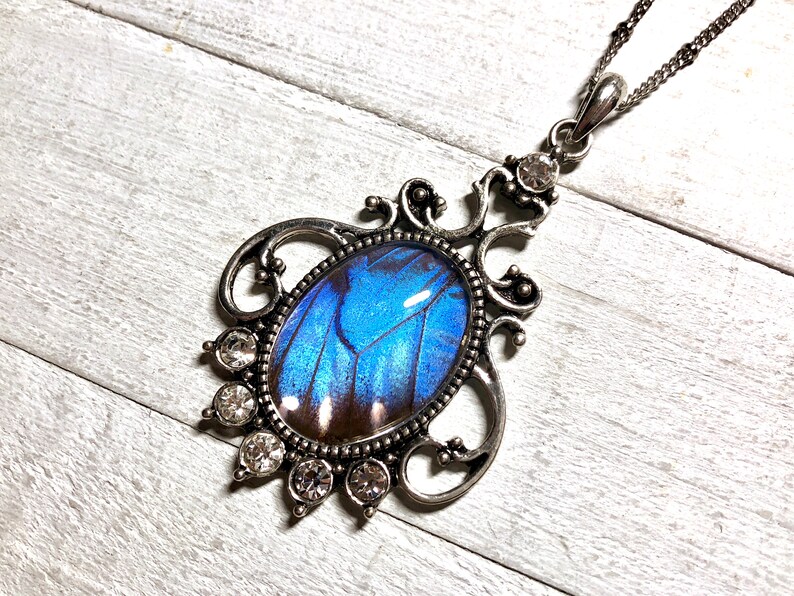 Echte Schmetterlingsflügel Halskette Blaue Morpho Schmetterling Halskette Echtsilber Schmetterling Halskette für Frauen Geburtstag Geschenke Bild 4