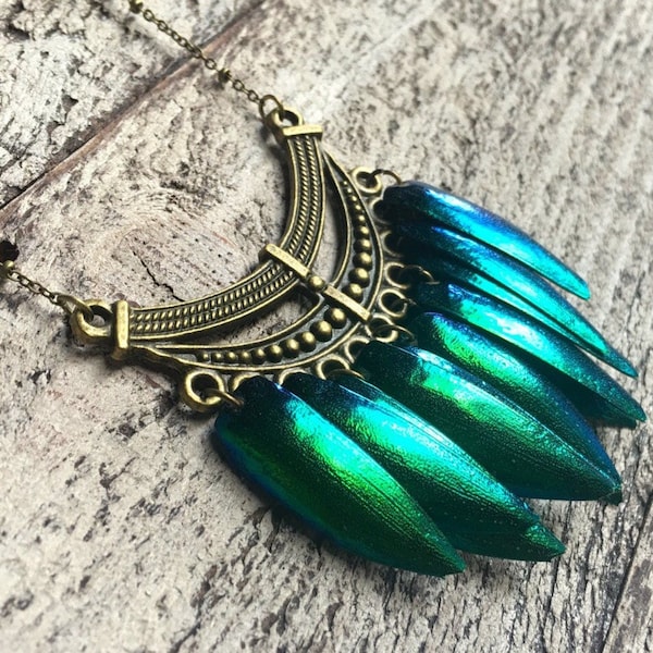 Real beetle necklace Real beetle wing jewelry Taxidermy beetle wing necklace Mermaid necklace Green Elytra jewelry Real insect necklace