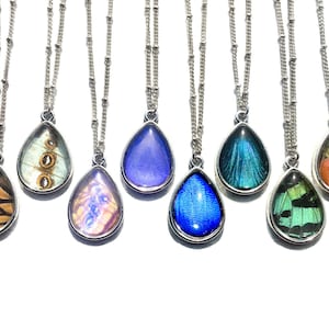 Real butterfly wing necklace Friendship necklace Memorial gift Ethical real butterfly necklace Pressed flower necklace Best friend necklace