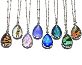 Real butterfly wing necklace Friendship necklace Memorial gift Ethical real butterfly necklace Pressed flower necklace Best friend necklace