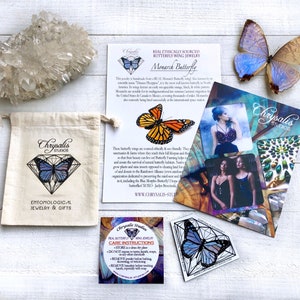 Op de afbeelding: Een set vlinder vleugel sieraden met een witte achtergrond. De sieraden zijn verpakt in een kleine witte tas met de woorden "Chrysalis Studios" en "Entomologische sieraden en geschenken" erop gedrukt. Er is een kaart met informatie over de monarchvlinder en een sticker met een vlindervleugel ontwerp. De tekst op de kaart luidt "Ethisch verantwoord vlindervleugel sieraden, Monarchvlinder".