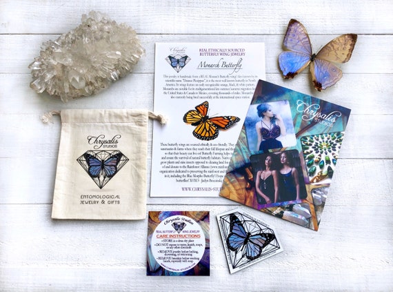 Real Butterfly Wing butterfly wing taxidermy jewelry Monarch Butterfly statement necklace gifts for her insect pendant