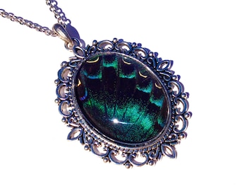 Real butterfly wing necklace Aurora Borealis Jewelry Northern lights necklace Nature-inspired jewelry Silver butterfly necklace Nature gifts